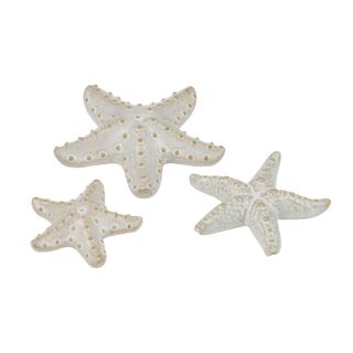 Bowen Starfish
